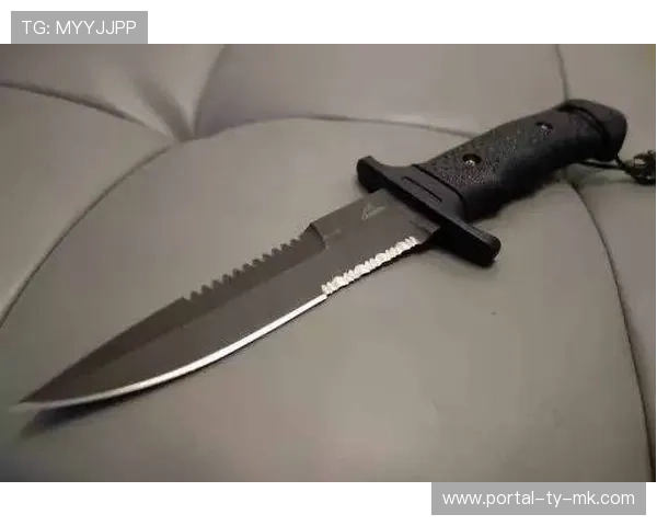 年龄与经验:格斗比赛中的双刃剑 年龄与经验:格斗比赛中的双刃剑